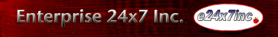 Enterprise 24x7 Inc. IT Consulting Company